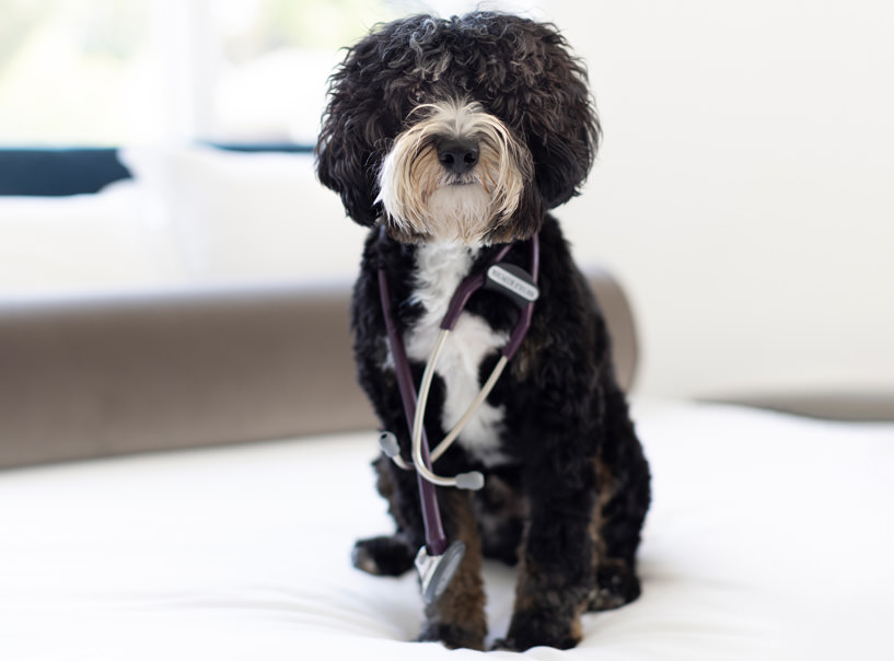 Finley Kupchik photo