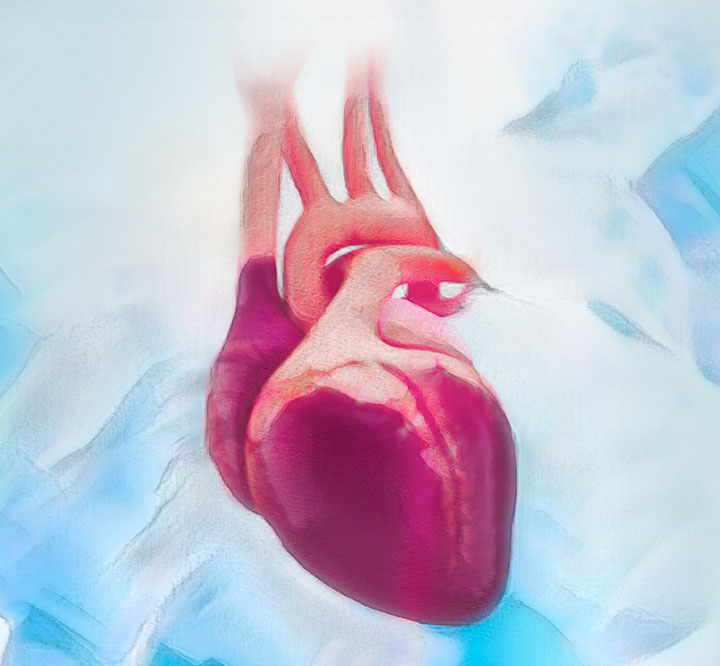 CSC&reg; Online Course